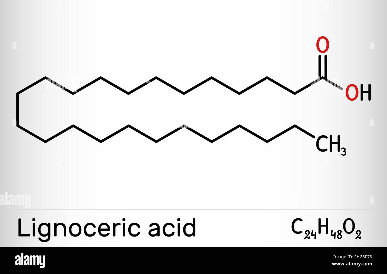 Lignoceric acid, tetracosanoic acid, saturated fatty acid molecule. Occurs naturally in wood tar, in small amount in most natural fats. Skeletal chemi Stock Vector