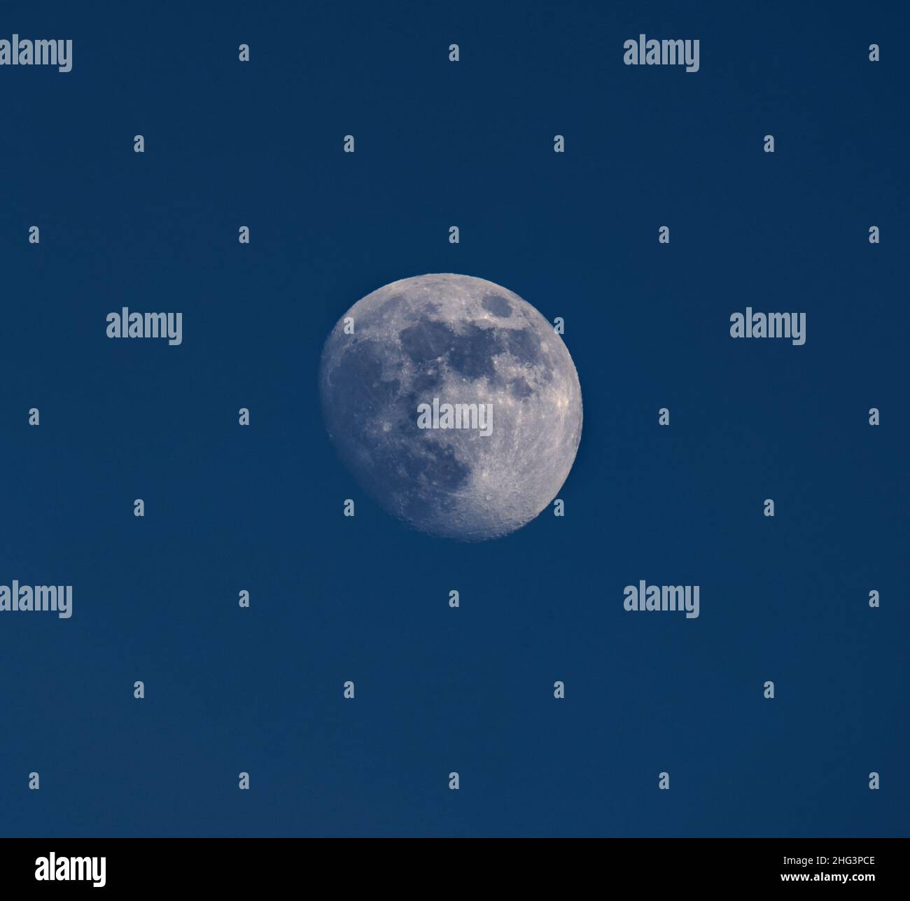 Moon in the daylight, in waxing gibbous phase Stock Photo Alamy