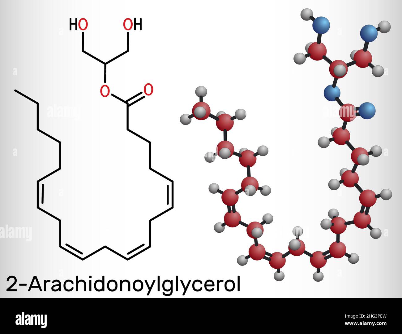 2Arachidonoylglycerol, 2AG molecule. It is an endocannabinoid, formed