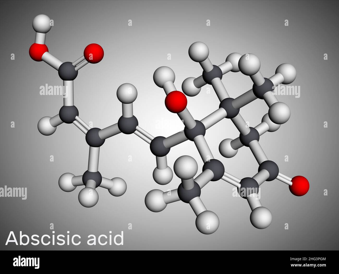 Abscisic acid, ABA molecule. It is dormin, plant hormone. Molecular model.  3D rendering. Illustration Stock Photo - Alamy