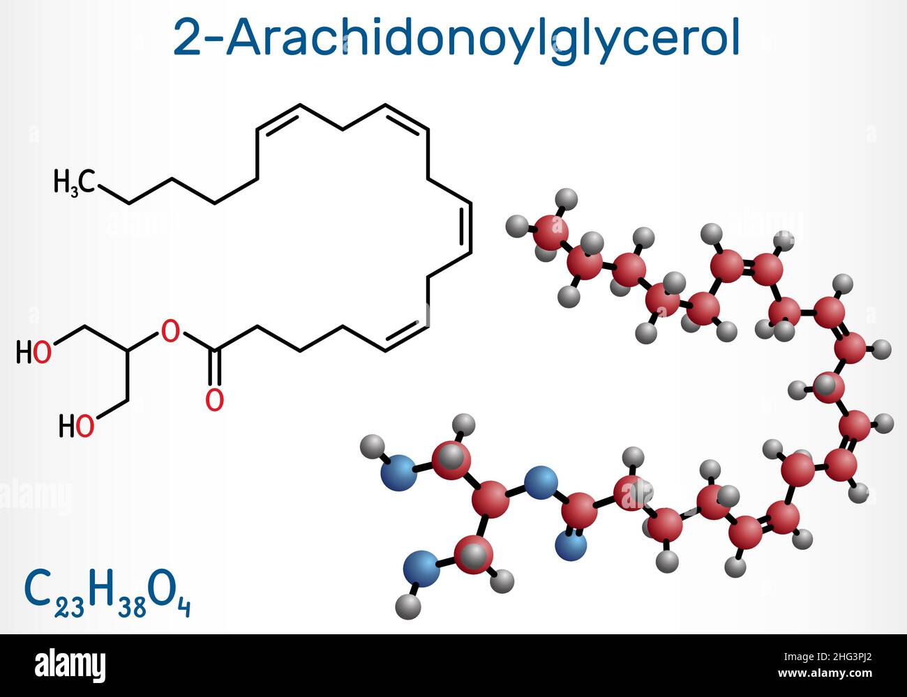 Estrutura química da anandamida e do 2-glicerol araquidonil (2-AG)