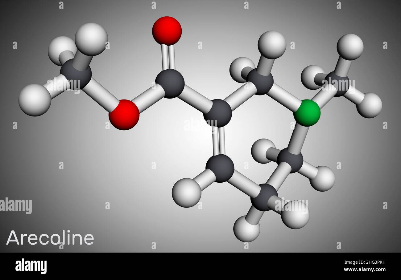 Arecoline molecule. It is lkaloid obtained from the betel nut, Areca catechu. Molecular model. 3D rendering. Illustration Stock Photo