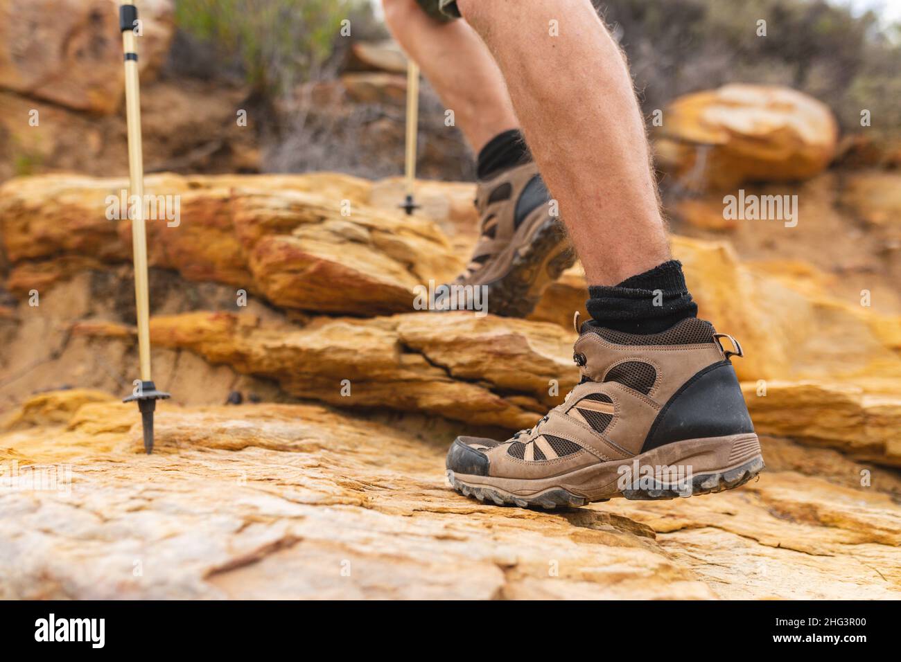 Low section of caucasian man with hiking pole walking on rocks in forest Stock Photo