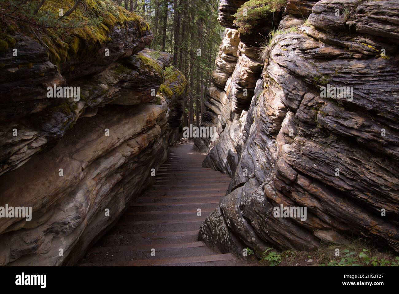 Hiking trail at Athabasca Falls in Jasper National Park,Alberta,Canada