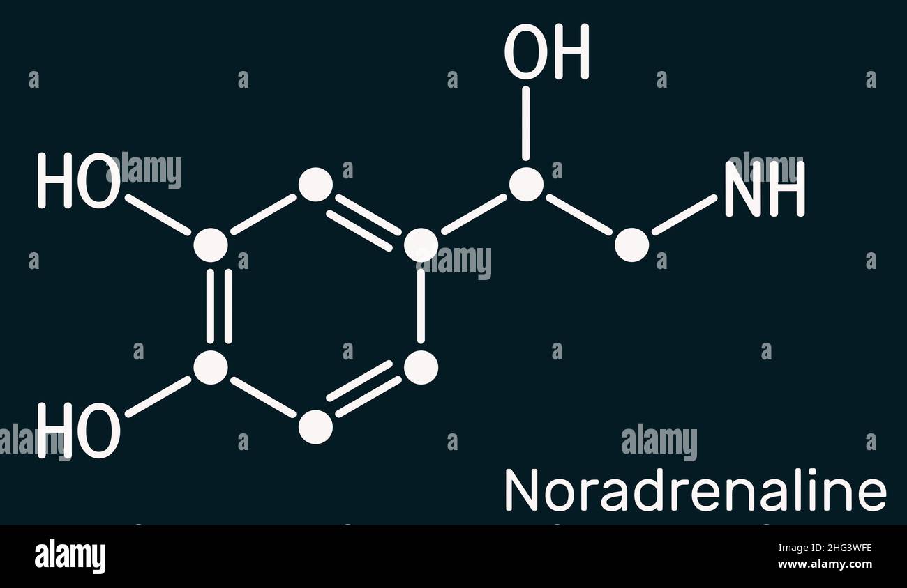 Norepinephrine molecular hires stock photography and images Alamy