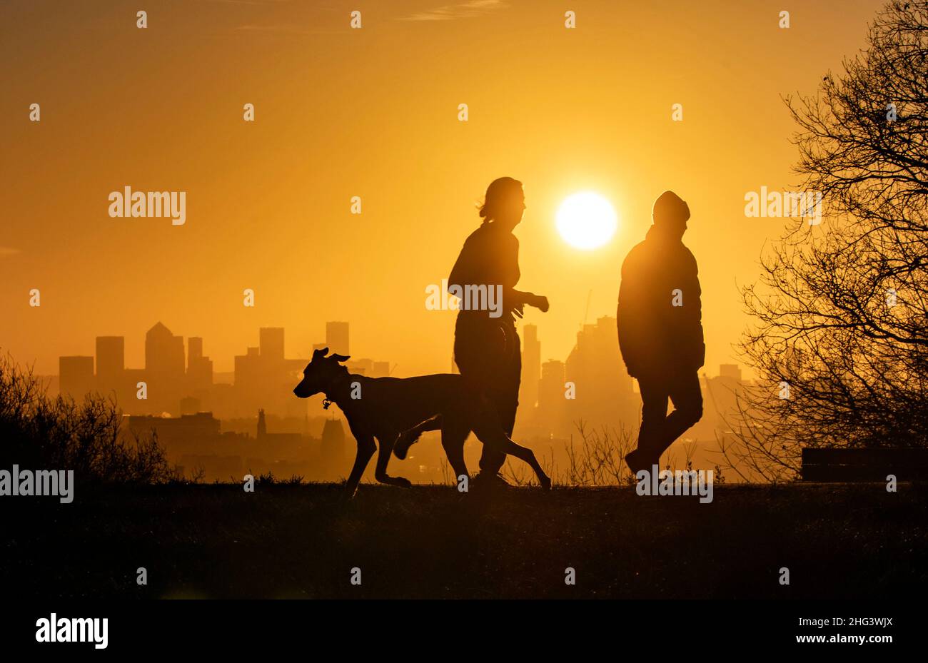 Early dog shows hi-res stock photography and images - Alamy