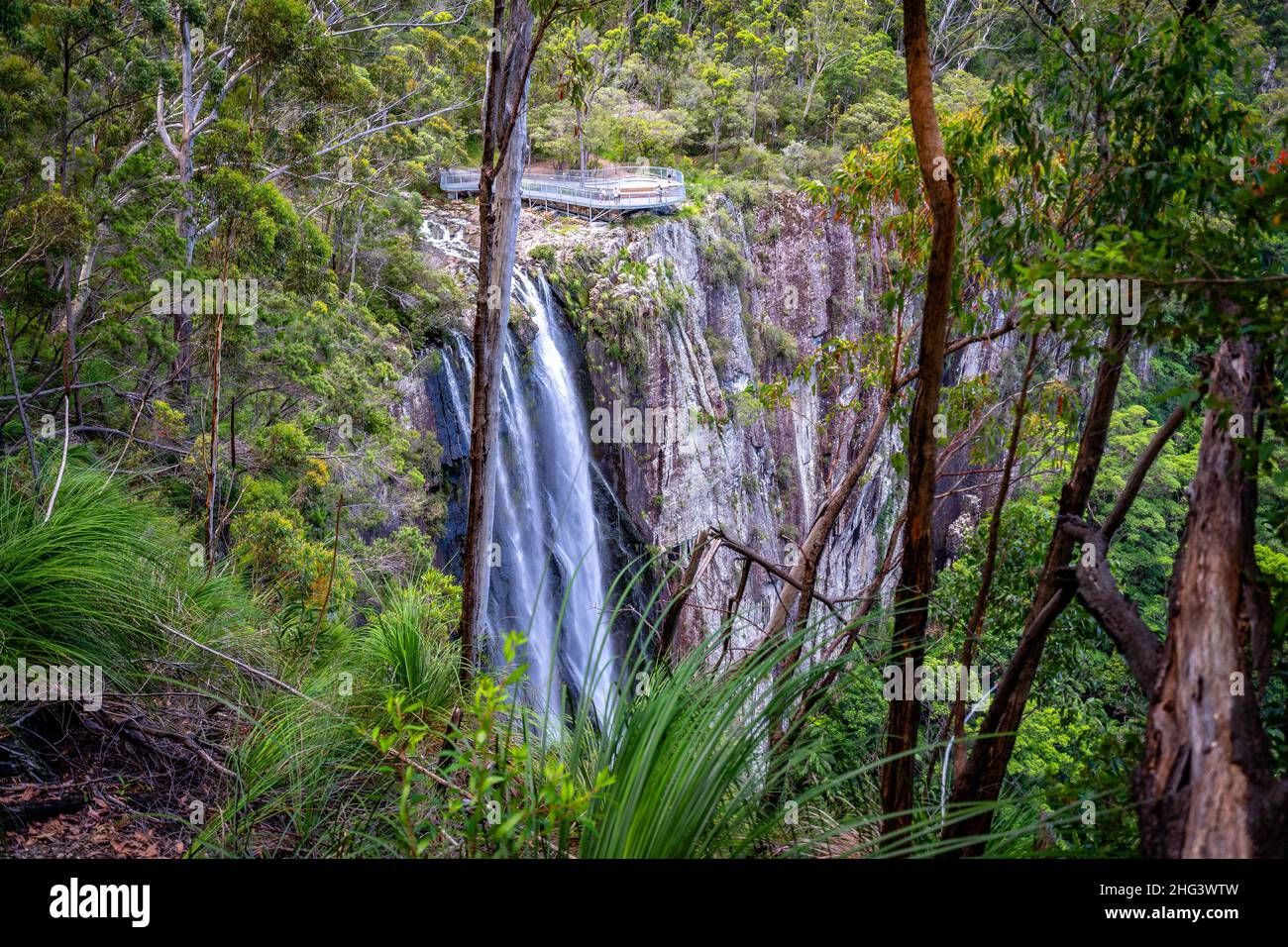 Minyon Falls in Nightcap National Park, NSW, Australia Stock Photo