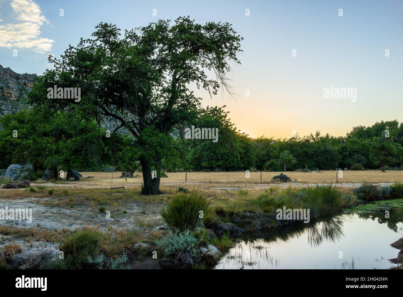Beautiful landscape of a lake, a tree, the sun and some mountains Stock ...