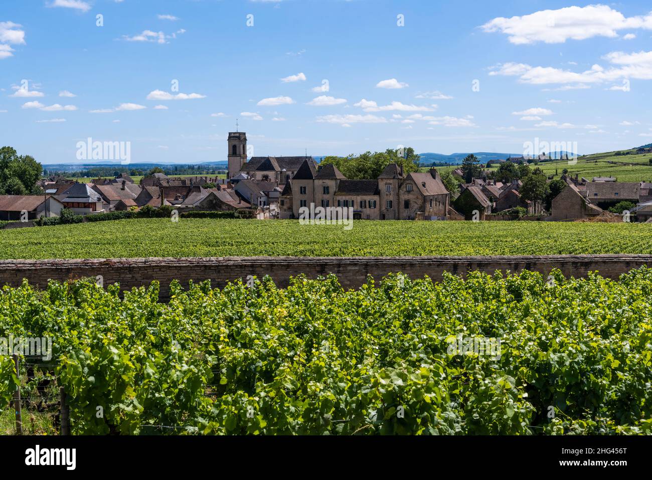Vineyards and Rhone valley near the wine village of Pommard in Burgundy, France. Stock Photo