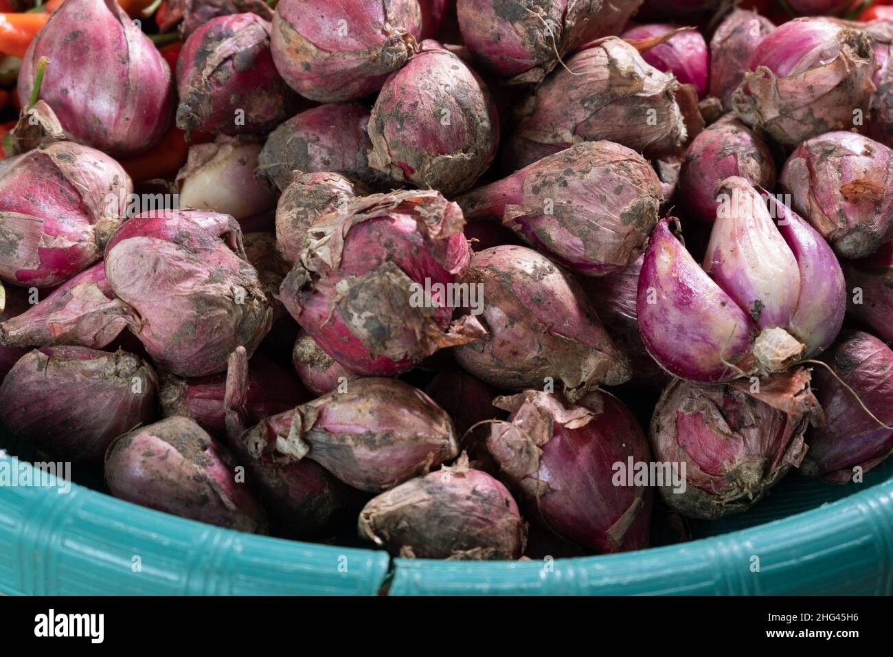 collection of onions, spices that are almost always in Asian kitchens