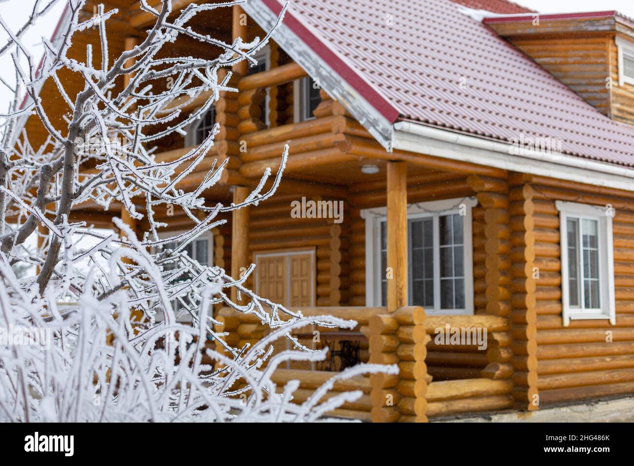 Big wooden cottage house with tiled red roof in background and little frozen tree covered with snow in foreground. Having rest in country away from Stock Photo