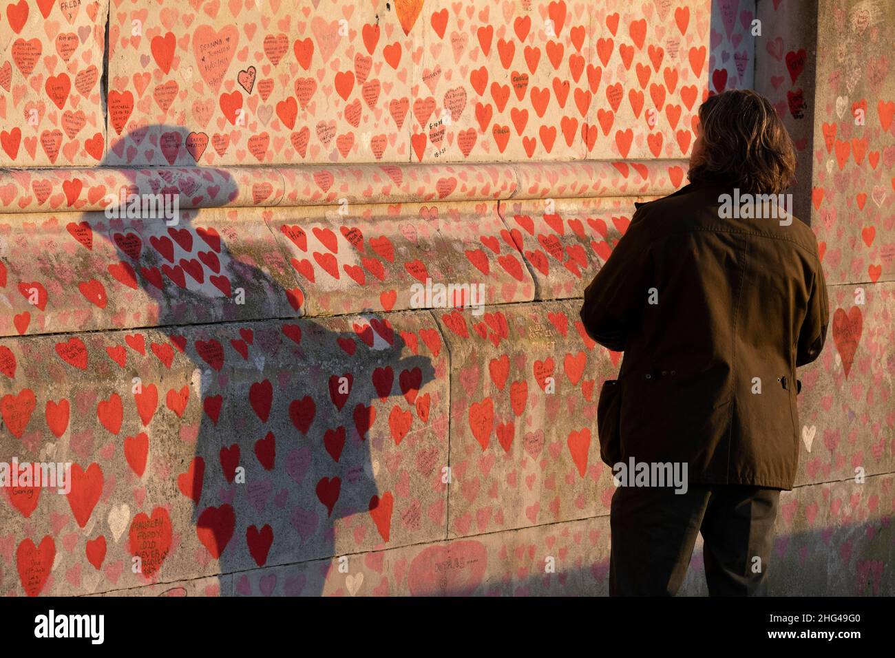 A man colours in a red heart on the National Covid Memorial Wall, a tribute to the 152,000 British victims of the Coronavirus pandemic, on 17th January 2022, in London, England. Bereaved family and friends of Covid-19 victims have added their own tributes on the wall located outside St Thomas' Hospital, and which faces the Houses of Parliament in Westminster. Stock Photo