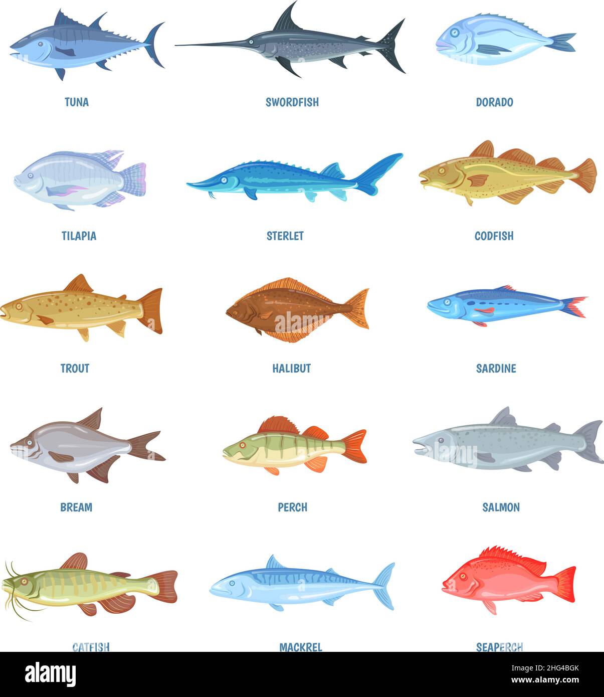Saltwater river fishes. Cartoon sea ocean fish, sardine mackerel