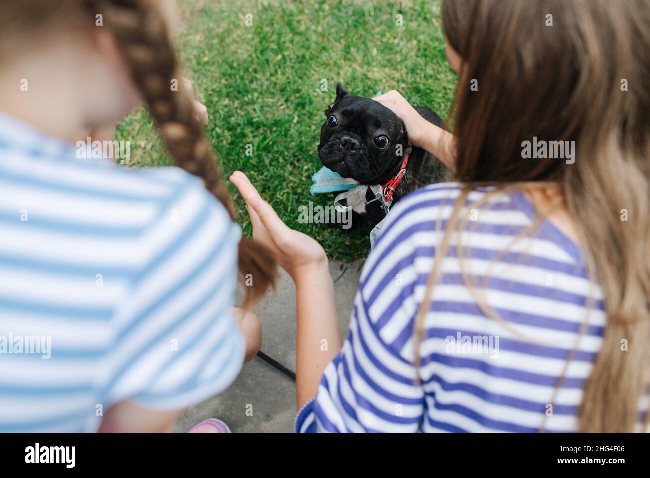 Why Is My Dog Pulling Out Her Hair