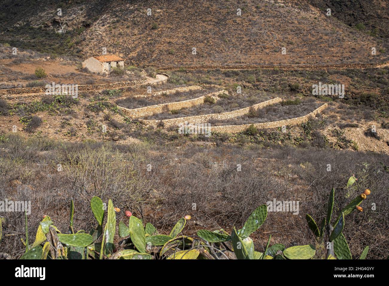 Abandoned derelict old farmhouse, finca and terraced land in San Miguel de Abona, Tenerife, Canary Islands, Spain Stock Photo