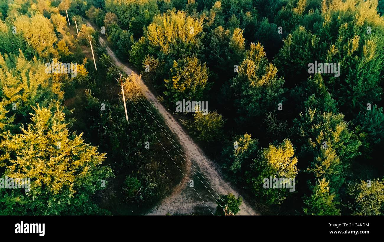 Aerial view of power lines in green forest Stock Photo - Alamy