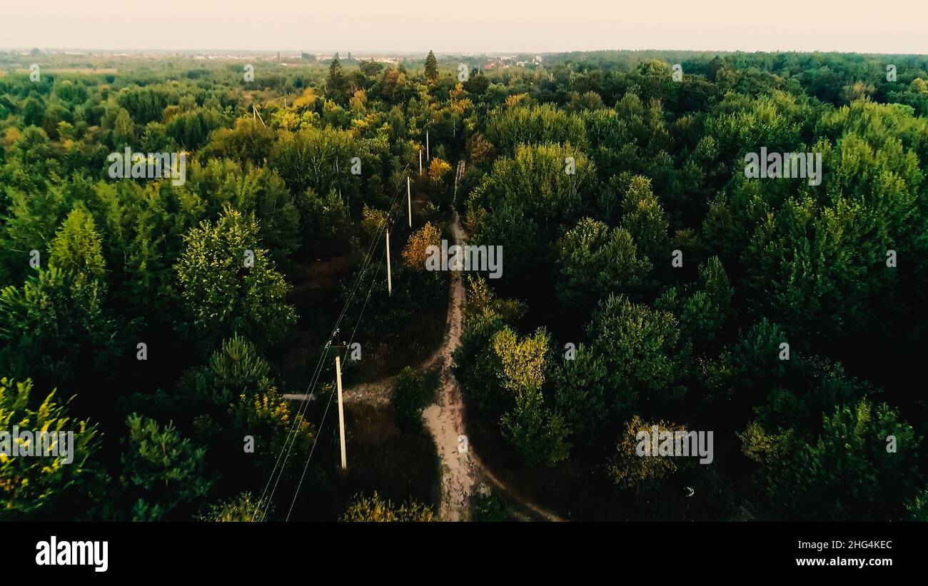 Aerial view of power lines in green forest Stock Photo - Alamy