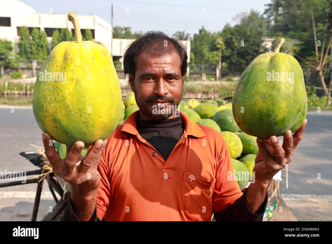 Rajshahi, Bangladesh November 07, 2021 A vendor is selling ripe