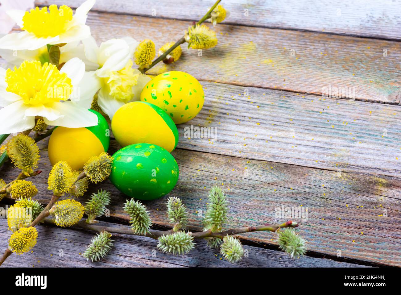 Easter composition of narcissus flowers, flowering willow twigs and ...