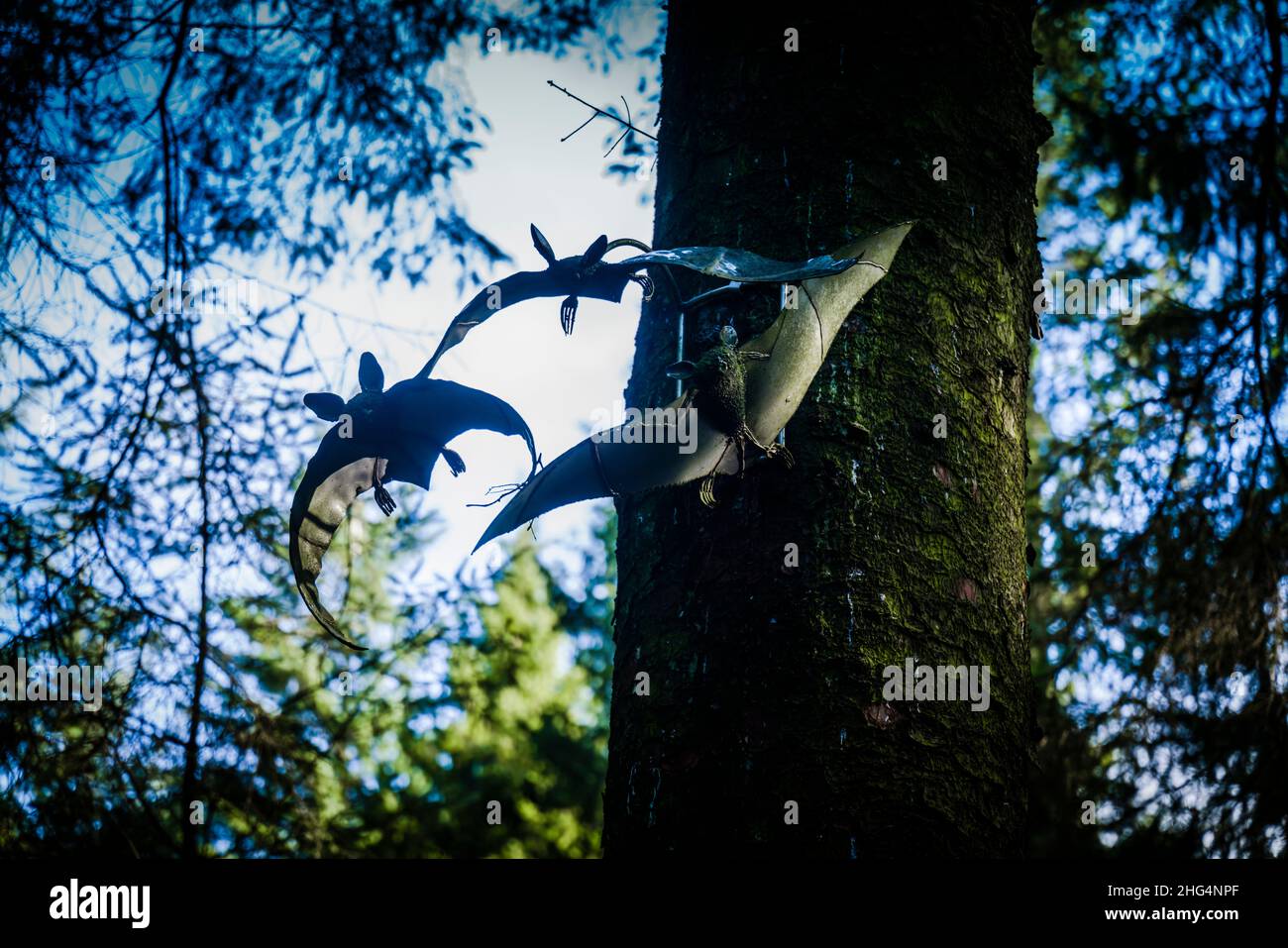 Three bats in flight by Steve Blaylock, Pendle sculpture trail, Barley, Lancashire, UK. Stock Photo