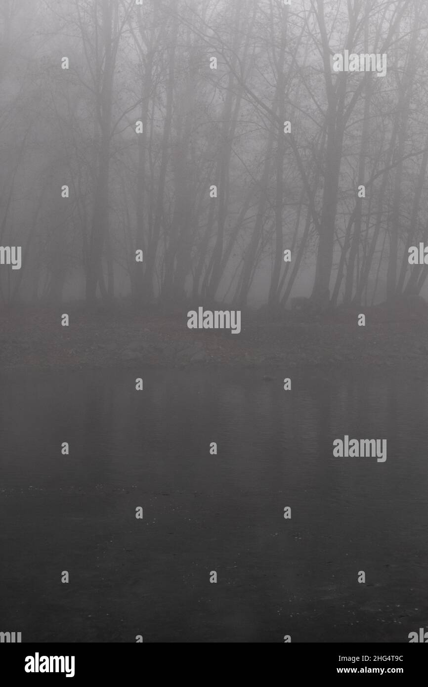 Fog foggy landscape hi-res stock photography and images - Alamy