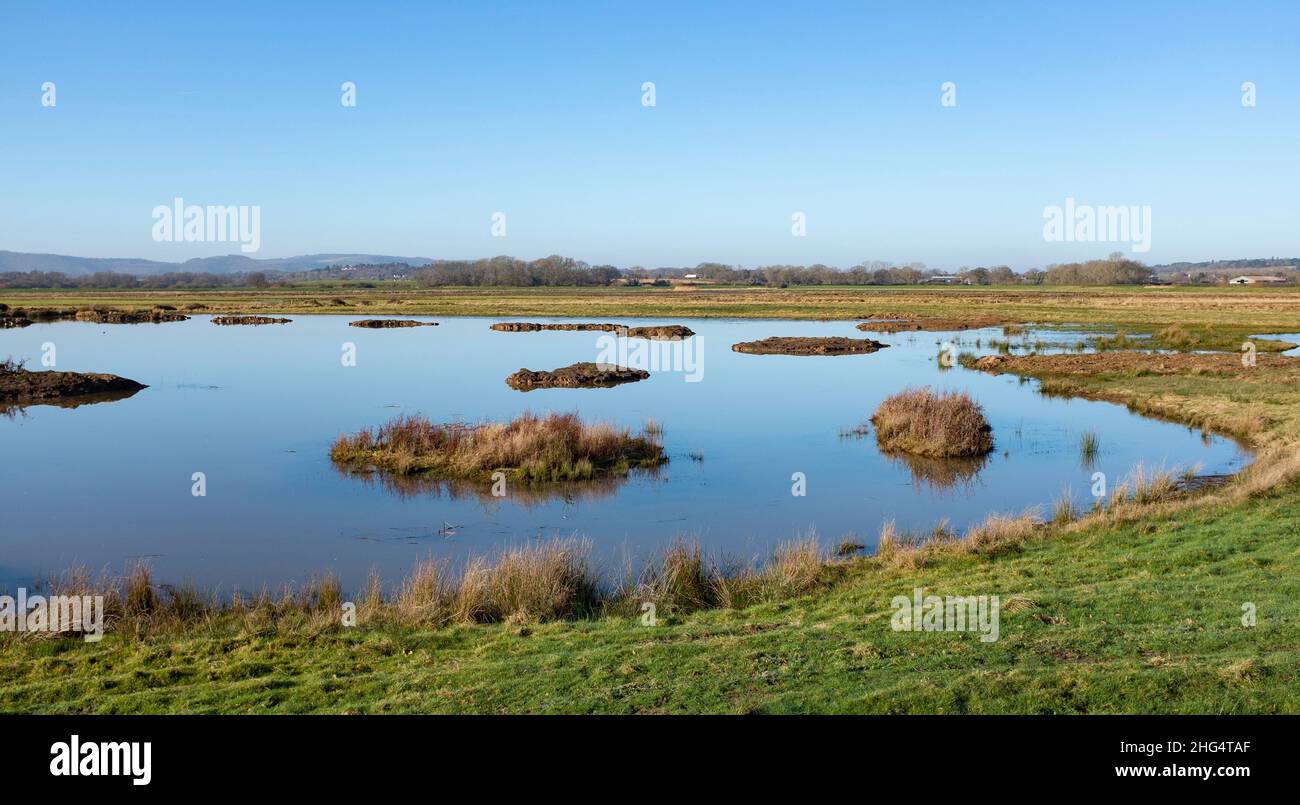 Pulborough Brooks RSPB nature reserve in Sussex in winter Sussex UK  Photograph taken by Simon Dack Stock Photo