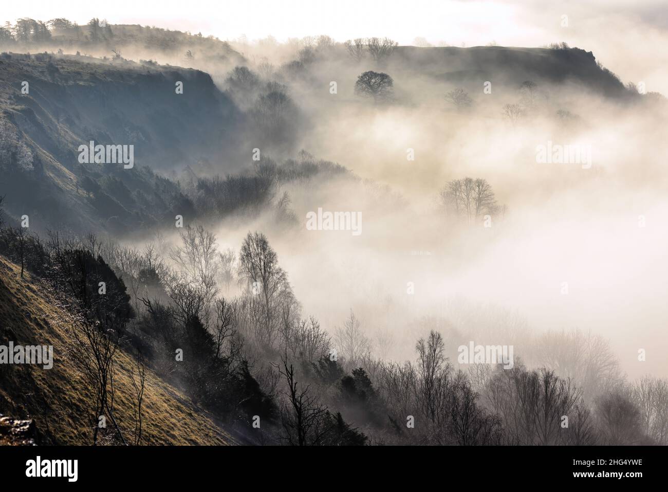 Scout Scar, Cumbria, England, as the sun broke through the mist 18th January 2022.  Taken from the edge of the cliffs looking eastwards with the winters sun low over the horizon, picking out the trees in the mist. Credit: Russell Millner/Alamy Live News Stock Photo