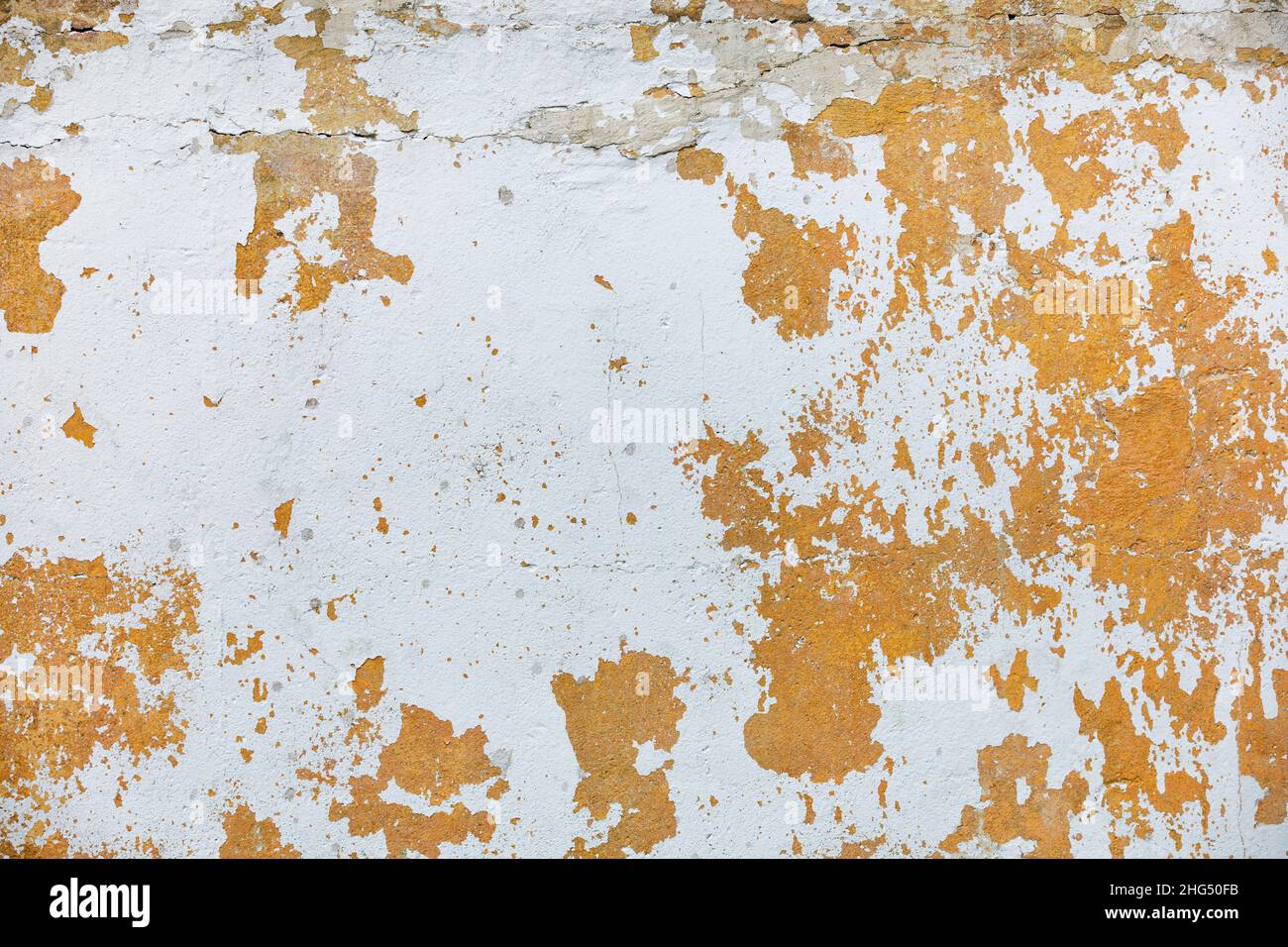Brown old plaster on the wall with peeling whitewash and cracks. copy