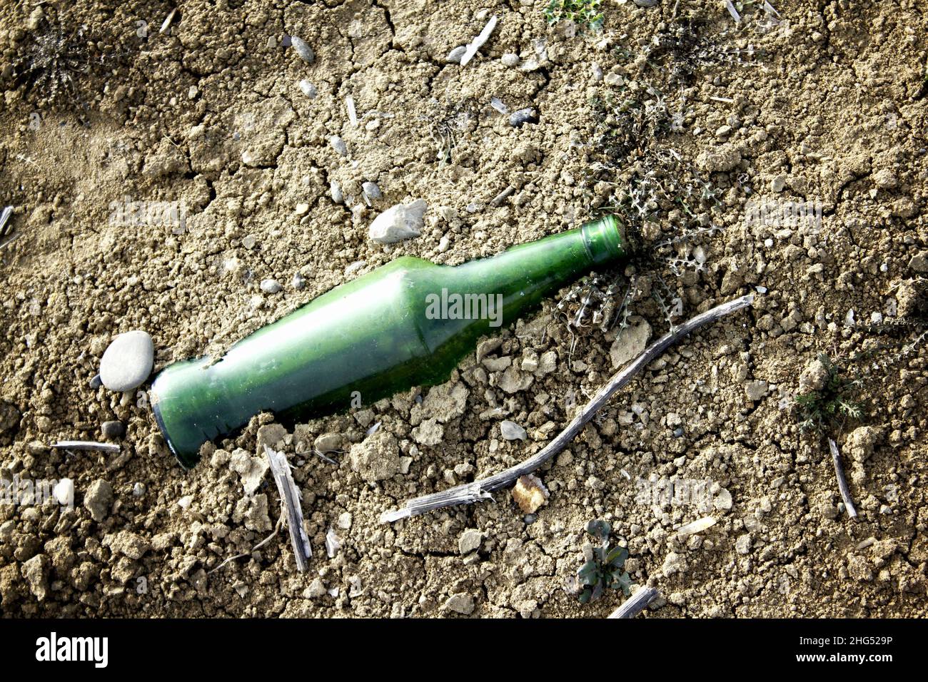 Thrown away beer bottle digged in to the ground Stock Photo Alamy