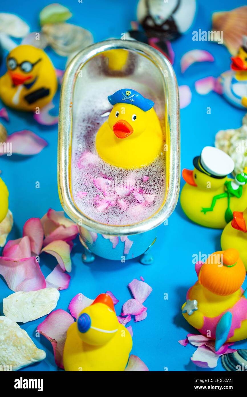 Rubber duck in the bathtub, colorful background with shells, rose petals and other rubber ducks, rubber ducks Stock Photo