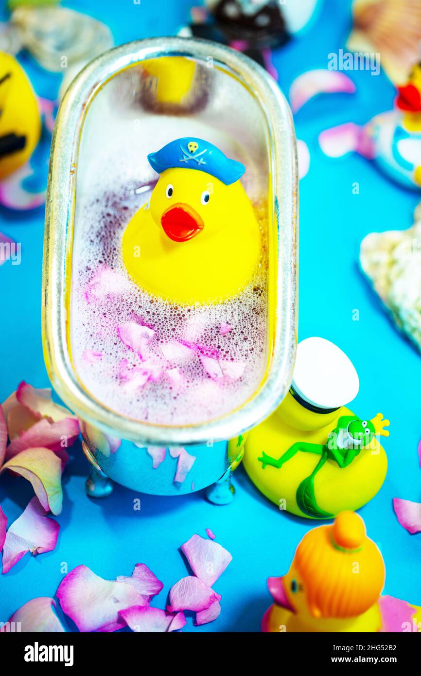 Rubber duck in the bathtub, colorful background with shells, rose petals and other rubber ducks, rubber ducks Stock Photo