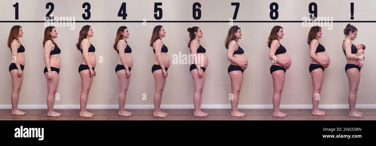 collage-pregnant-woman-beginning-to-end-nine-months-before-and-after-giving-birth-with-a-baby-in-her-arms-2HG538N.jpg