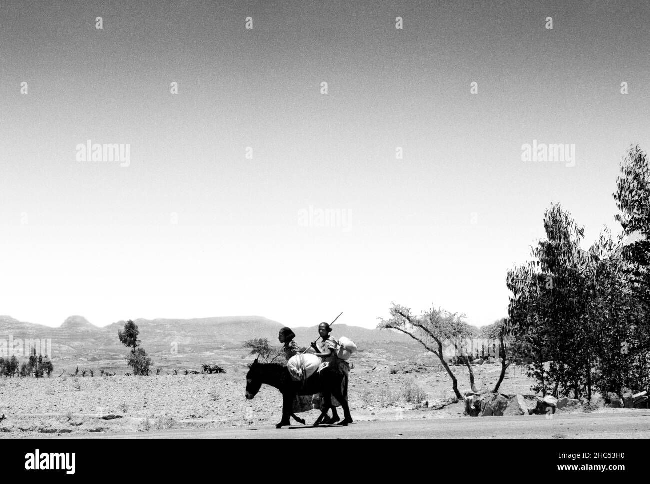 B/W of two rural women with a donkey carrying food home from market. Tigray, Ethiopia, Africa Stock Photo