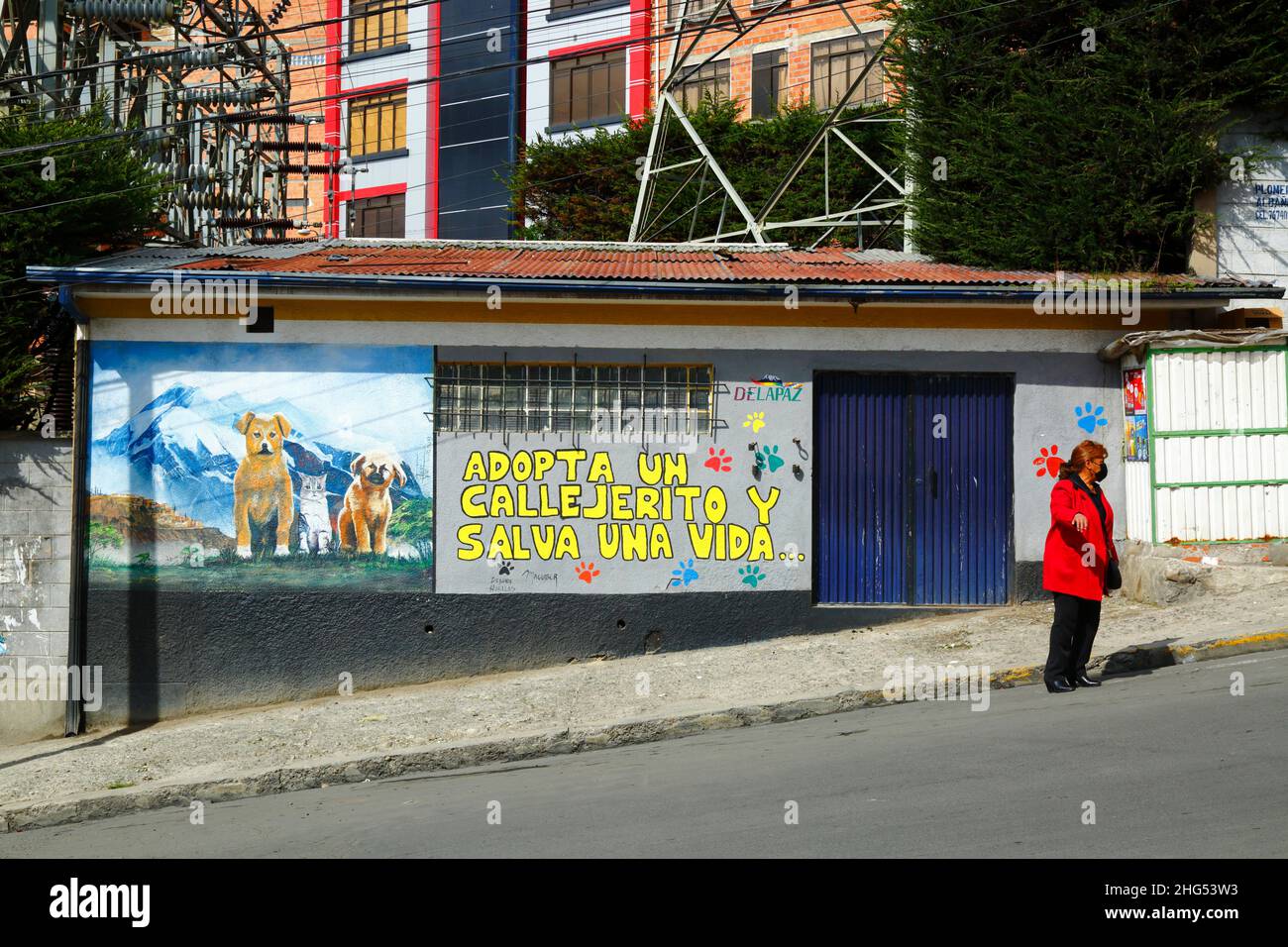 Mural on exterior of building in Tembladerani district encouraging people to adopt stray animals as pets rather than buy new ones. Like many cities in Latin America, La Paz and neighbouring El Alto have large population of street dogs, many of which are abandoned pets and can be a health and safety hazard. La Paz, Bolivia Stock Photo