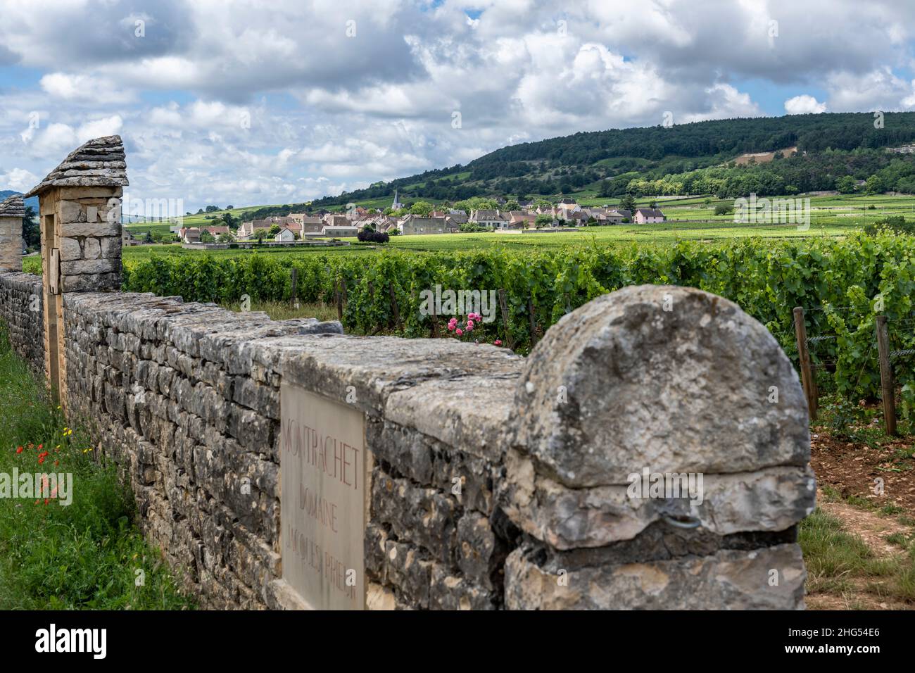 Chassagne-Montrachet, France - June 29, 2020: Vineyard Domaine Jacques Prieur with gate and wall in Burgundy, France. Stock Photo
