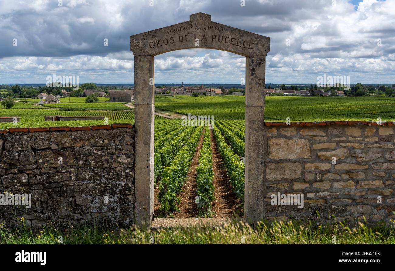 Chassagne-Montrachet, France - June 29, 2020: Vineyard Domaine Clos de la Pucelle with gate in Burgundy, Jean Chartron, with the village of Montrachet Stock Photo