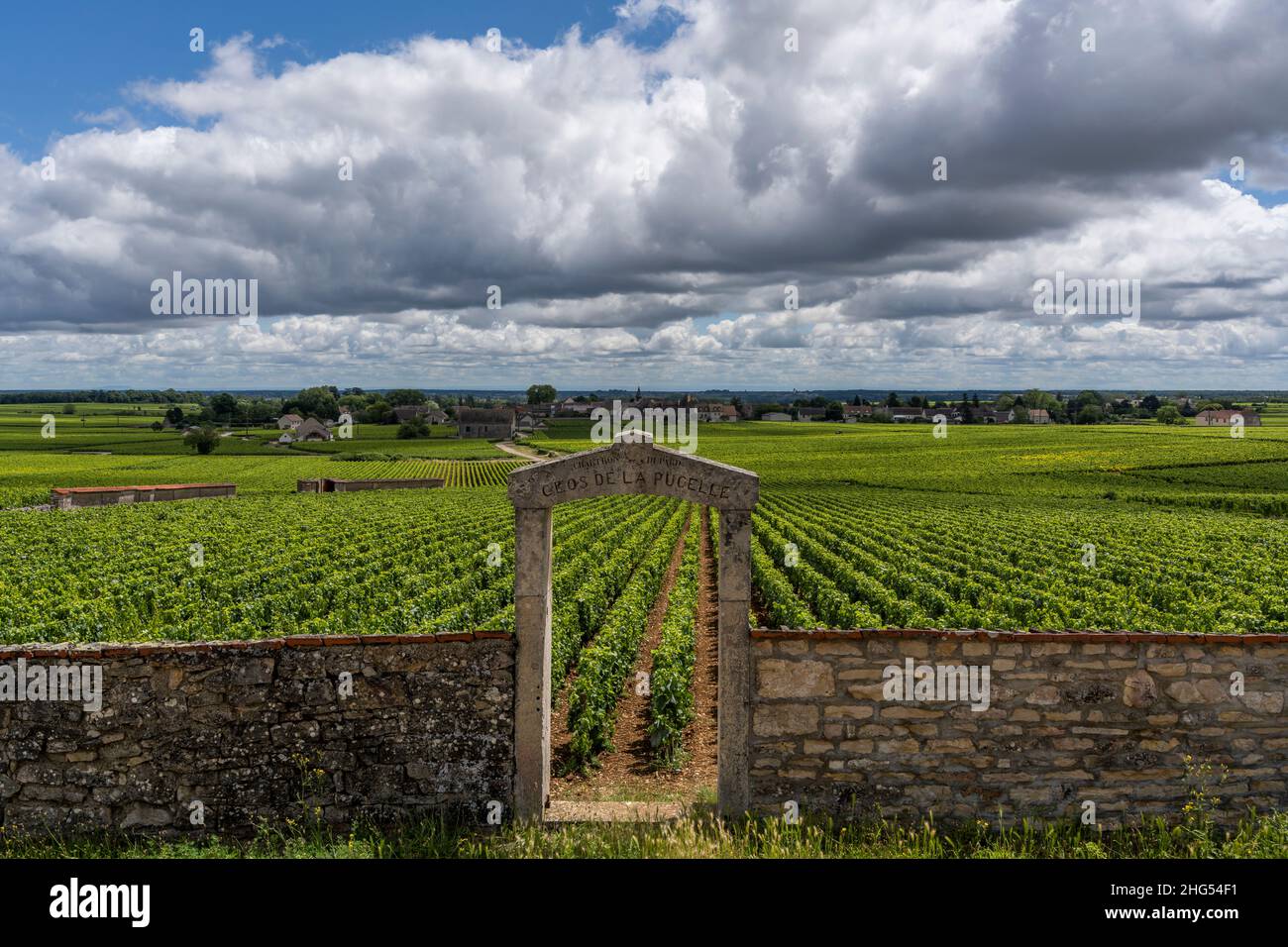 Chassagne-Montrachet, France - June 29, 2020: Vineyard Domaine Clos de la Pucelle with gate in Burgundy, with the village of Montrachet, France. Stock Photo
