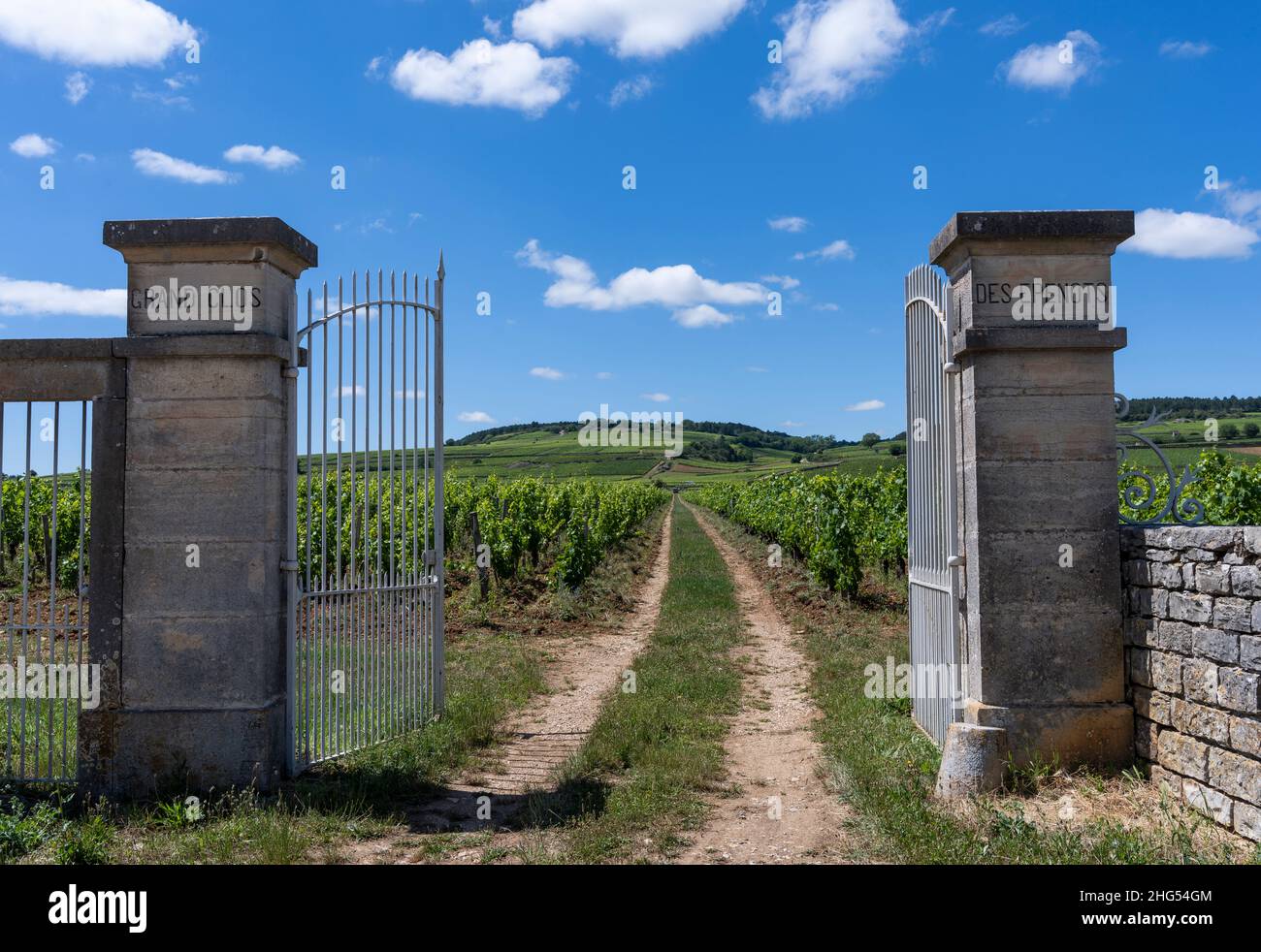 Pommard, France - June 30, 2020: Vineyard Domaine Grand Clos des Epenots with gate in Burgundy, France. Stock Photo