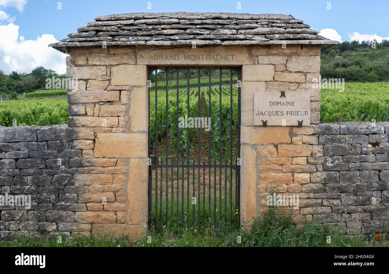 Chassagne-Montrachet, France - June 29, 2020: Vineyard Domaine Jacques Prieur with gate in Burgundy, France. Stock Photo