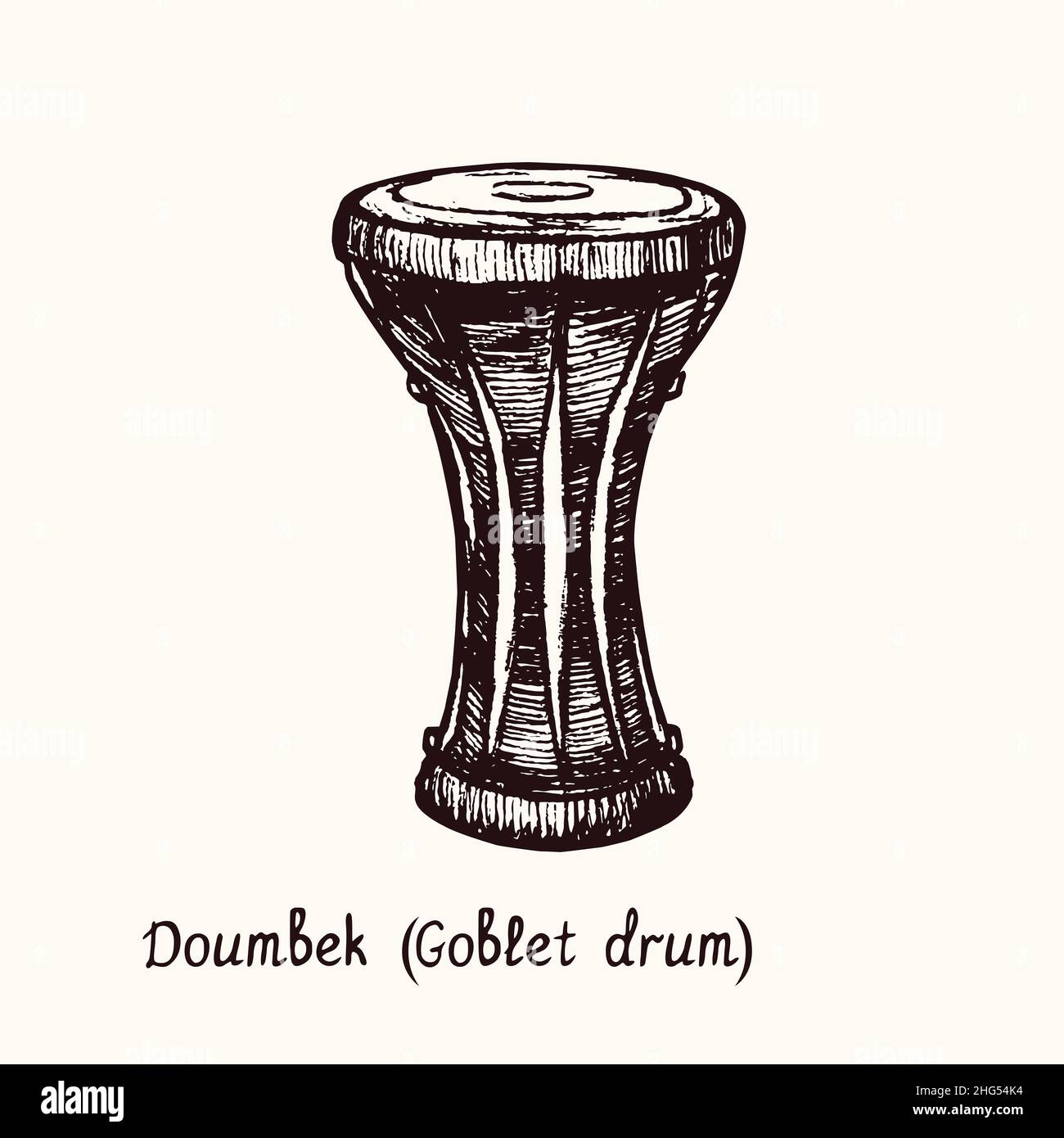 Doumbek (goblet drum). Ink black and white doodle drawing in woodcut