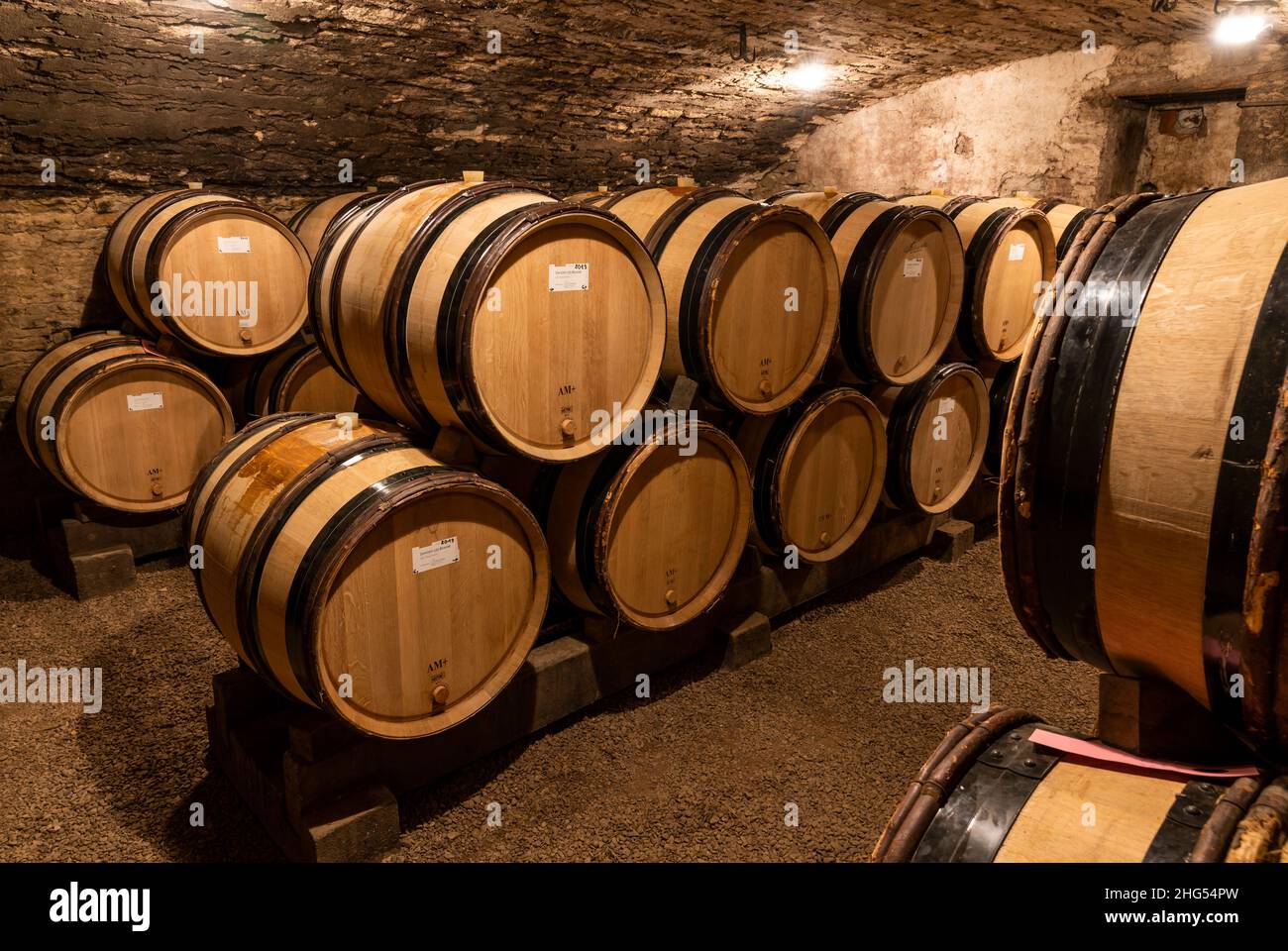 Monthelie, France - June 30, 2020: Wine Barrels in the cellar of the domaine Boussy, Monthalie, burgundy, France. Stock Photo