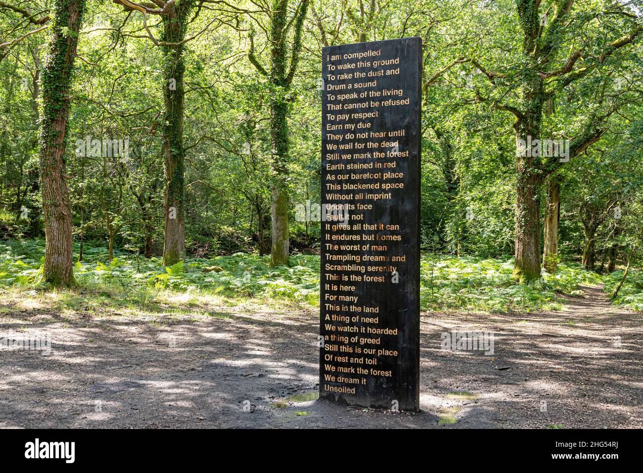'Soil Unsoiled' a poetic collaboration between Zakiya Mckenzie & Khady Gueye on the Forest of Dean Sculpture Trail near Cannop, Coleford, Gloucestersh Stock Photo