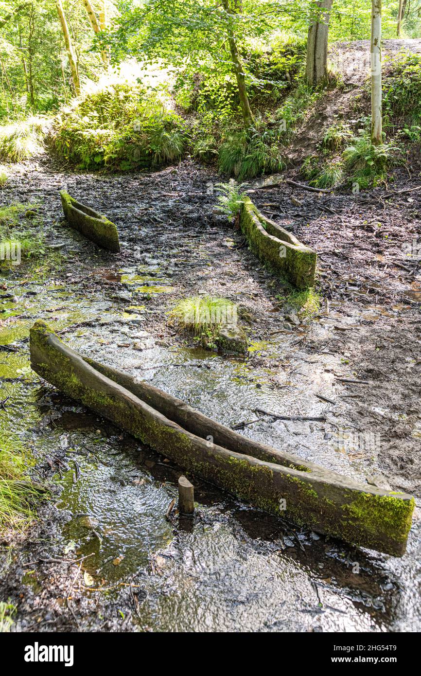 'Fire and Water Boats' by David Nash, 1986 on the Forest of Dean Sculpture Trail near Cannop, Coleford, Gloucestershire.UK Stock Photo