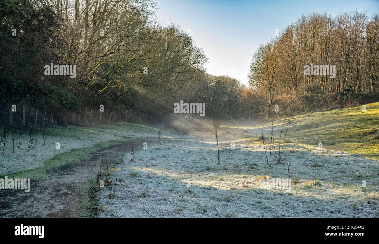 A frosty morning and stream with sunlight and rays shining through the trees covered in winter morning mist, England, Cotswolds, United Kingdom Stock Photo