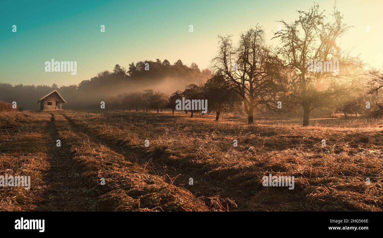 Moody rural landscape at sunrise, with the rays of light falling through the mist unto a brown field and tracks leading to a cabin Stock Photo