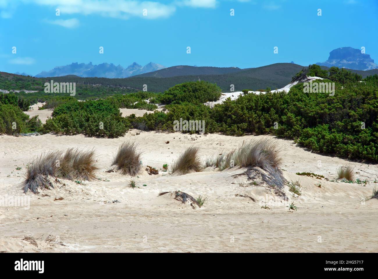 Piscinas Dunes on Sardinia’s Costa Verde (Green Coast) form an incredible sand dune landscape and has been described as the Sardinian desert. Stock Photo