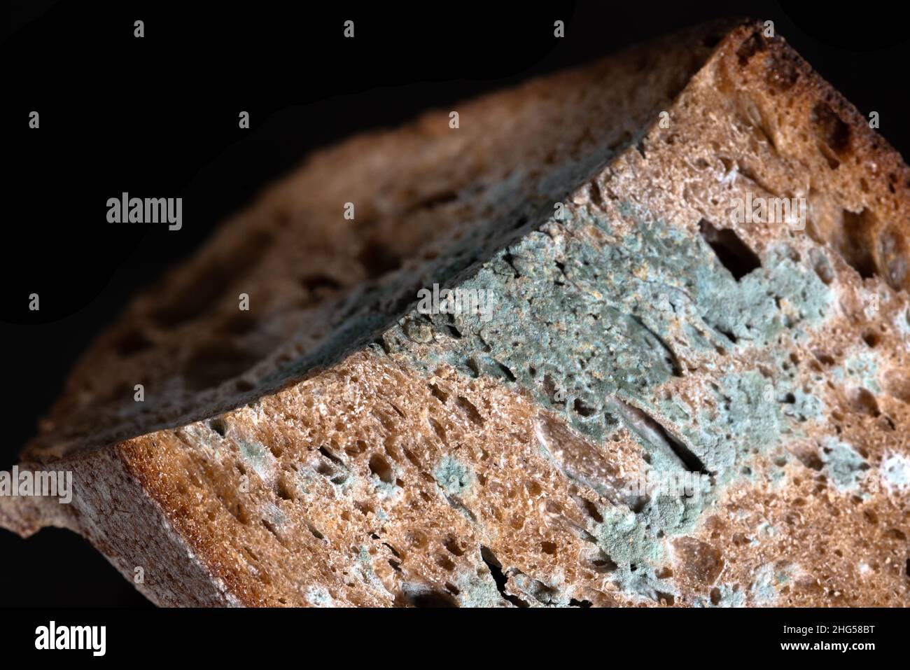 The old mold on the rye bread perspective view. Spoiled food. Mold on ...