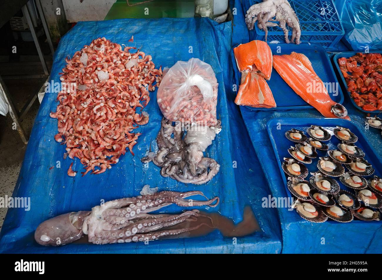 Freshly caught octopus, prawns, salmon fillets and scallops at local market in Valparaiso, Chile. Fresh seafood from Pacific Ocean on market counter Stock Photo