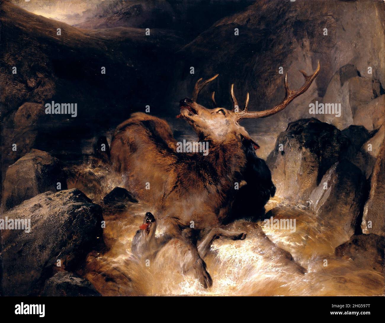 Deer and Deer Hounds in a Mountain Torrent by Sir Edwin Henry Landseer (1802-1873), oil on canvas laid on wood, 1832 Stock Photo