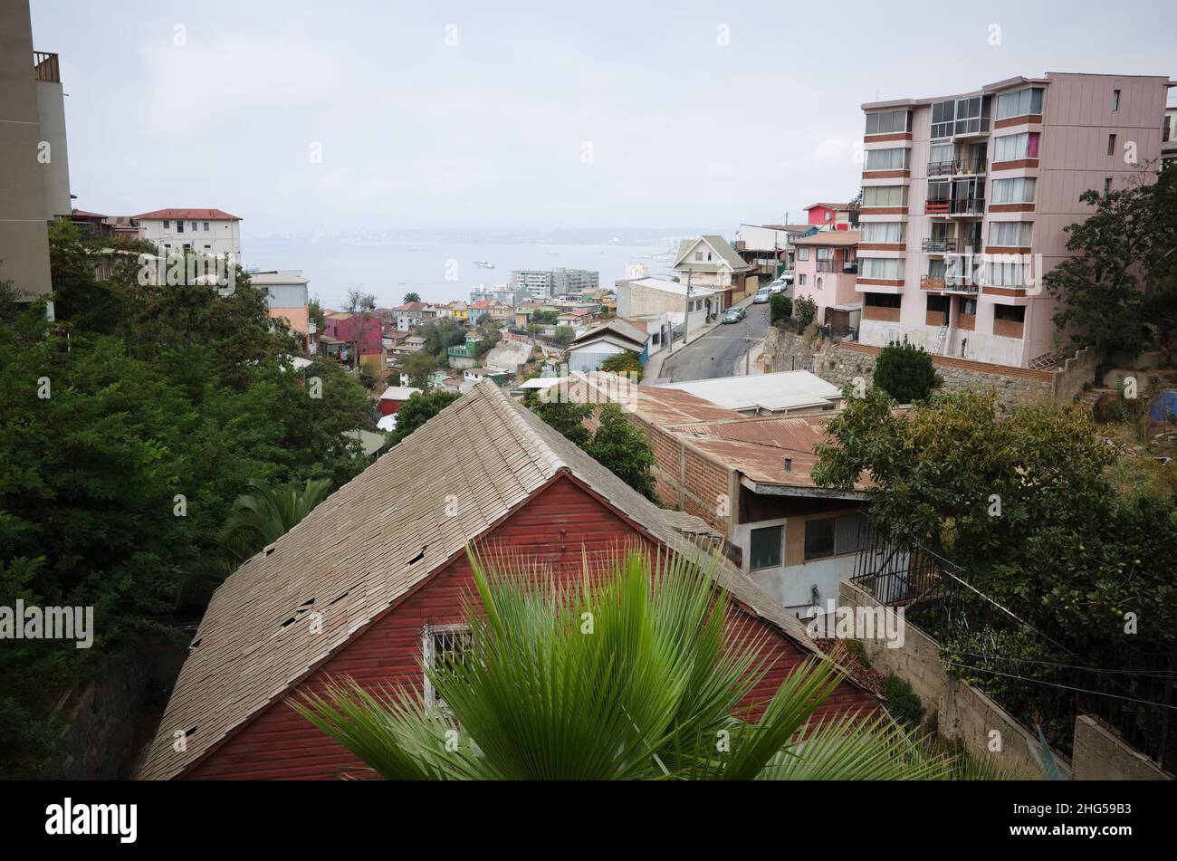 Valparaiso, Chile - February, 2020: View from hill to Bahia de Valparaiso bay. Palm tree and roof of old house. Colorful houses of historic district Stock Photo